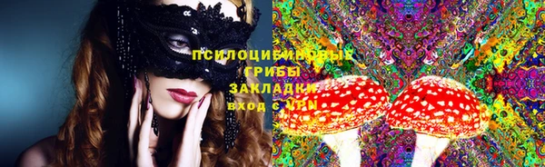 бошки Горняк
