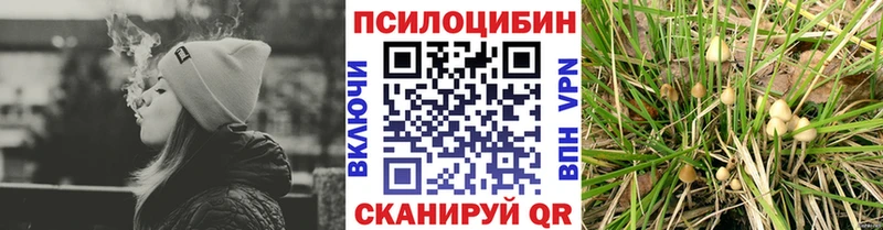 закладка  Челябинск  Галлюциногенные грибы MAGIC MUSHROOMS 